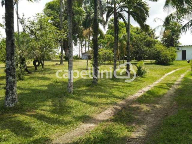 Chácara para Venda em Araquari - 5